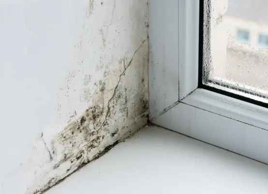 Cách chống thấm tường nhà mới xây dứt điểm 100%: Bí mật thầu cỏ luôn giấu kín