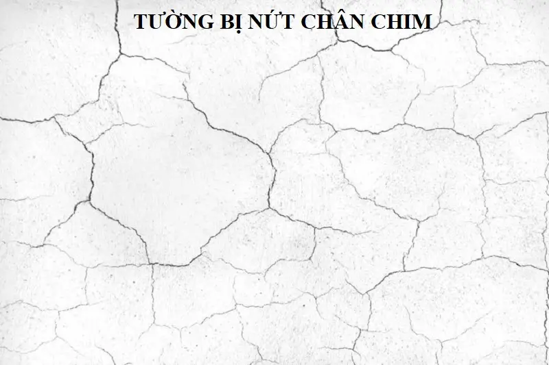 Dấu hiệu nh&agrave; cần sửa nứt ch&acirc;n chim nứt t&oacute;c tr&ecirc;n tường