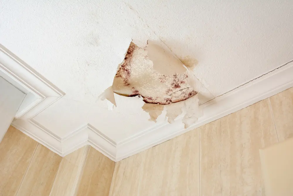 Dấu hiệu nh&agrave; cần sửa thấm dột ố v&agrave;ng trần tường
