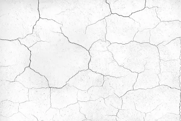 Cận cảnh một mảng tường bị nứt chân chim hình rễ cây do sử dụng sai xi măng mác cao để trát áo